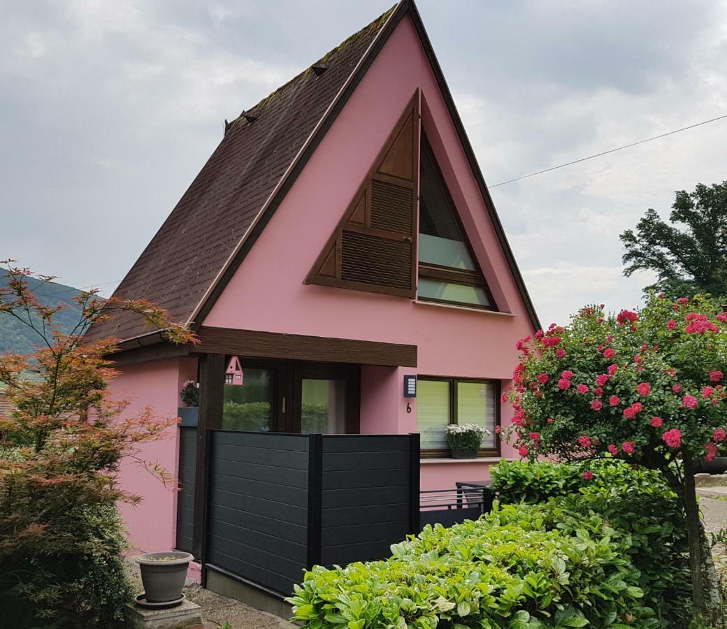 Gite Delphine Kaysersberg-Vignoble Exterior foto